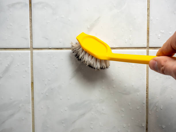 Best Mold Cleaning Services  in Golden Beach, MD